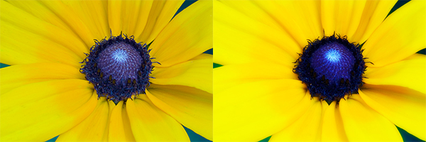 Adding a Diffuse Glow to Your Images