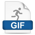 GIF File Format