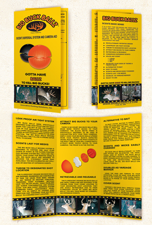 Big Buck Balls: Four color tri-fold brochure