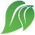 Green Products