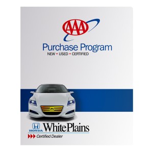 Folder with Metallic Foil Accent on Photo