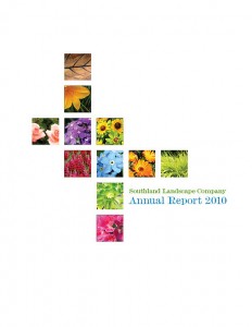 Colorful Report Cover