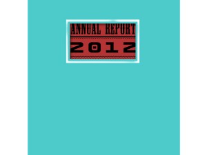 5 Design Ideas for Window Report Covers