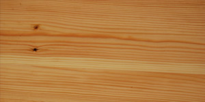 Wood Texture #18 Background