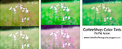 Color Tints PS Action