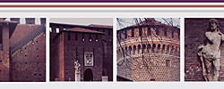 Purple Contrast Free Photoshop Action Purple Contrast Free Photoshop Action