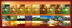 Sun Kissed Photoshop Action Sun Kissed Photoshop Action