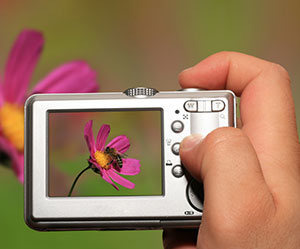 Digital Camera taking JPEG Photo