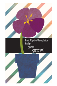 AlphaGraphics Collateral Promotion