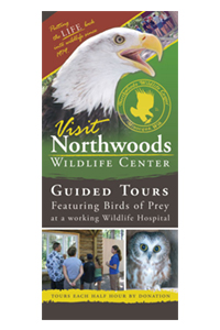 Northwoods Wildlife Rack Card