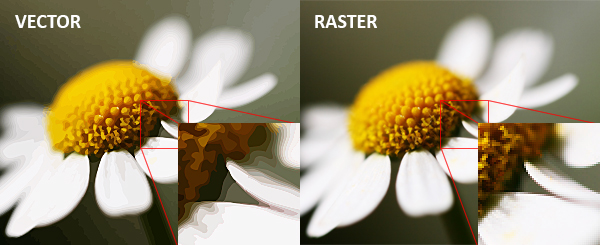 Difference between Rastor & Vector Image Formats