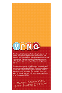 Young Professionals Networking Group