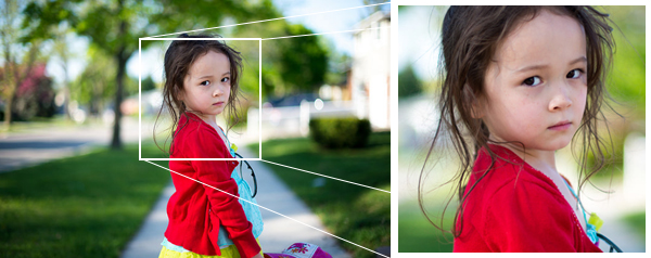 15 Easy Tips for Cropping Photos Like a Pro