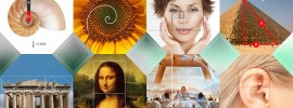 How to Use the Golden Ratio in Design (with Examples)