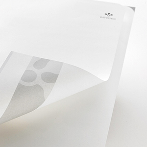 Letterhead - Design Agency