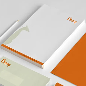 Letterhead - Animals Orange Giraffe