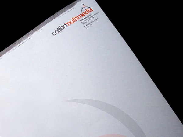 Letterhead - Colibri Hummingbird