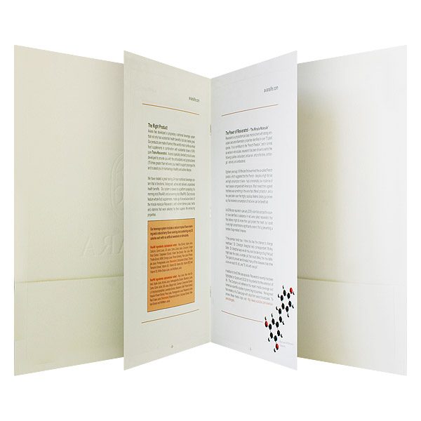 Aviara Life Brochure Folder Design (Open Brochure View)