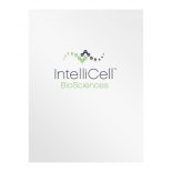 IntelliCell BioSciences Medical Pocket Folder