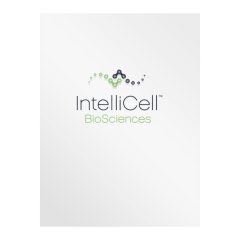 IntelliCell BioSciences Medical Pocket Folder (Front View)