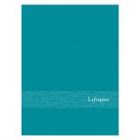 Lifespan Hospitals Turquoise Pocket Folder
