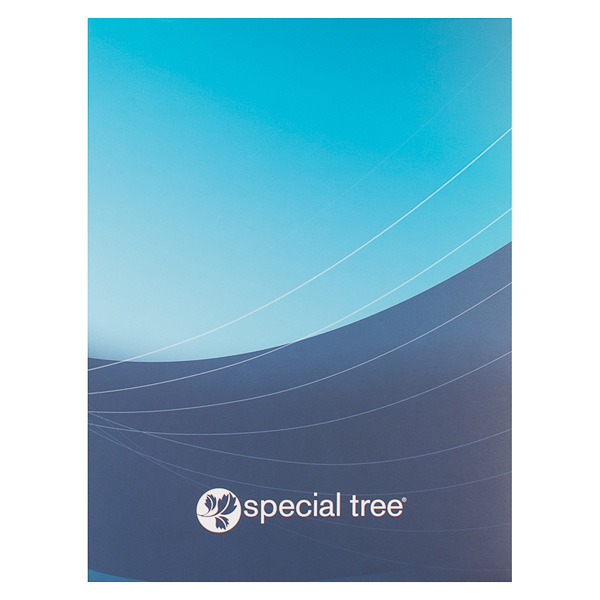 Special Tree Rehabilitation System (Front View)
