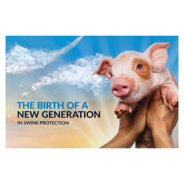 Ingelvac Provenza (Front View)