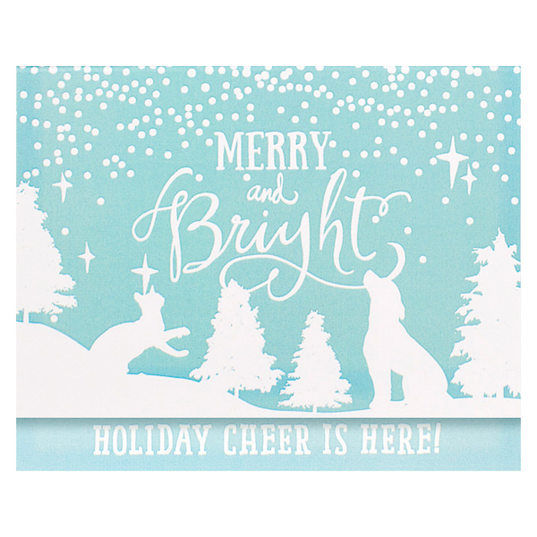 All The Best Pet Care (Front View)