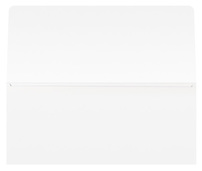 Aralez Pharmaceuticals (Inside Flat View)