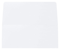 James W. Brannan (Inside Flat View)