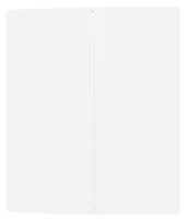 Satcher Ford (Inside Flat View)