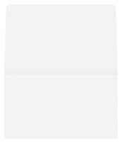 Show Me Auto Mall (Inside Flat View)