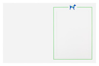 Dogs for Better Lives (Inside Flat View)