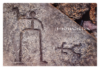 Hokuli'a (Back Flat View)