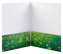 Dunn Meadow Pharmacy (Inside Open View)