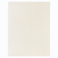 Yale Model United Nations (Back View)