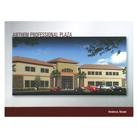 Anthem Professional Plaza (Front View)