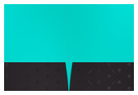 The DMV Life Real Estate (Inside Flat View)