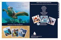 Hawaii Nautical (Inside Flat View)