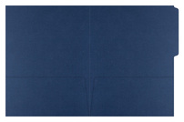 Acutis Diagnostics (Inside Flat View)