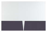 Act-On Software (Inside Flat View)