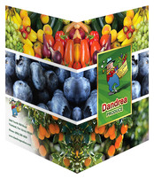 Dandrea Produce, Inc. (Back and Front Open View)