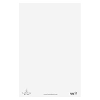 Capitol Bank (Back View)