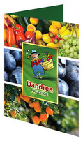 Dandrea Produce, Inc. (Front Open View)