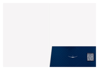 Millennial Technologies (Inside Flat View)