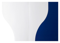 Electronics For Imaging, Inc. (Inside Flat View)