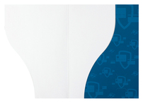 Tesla Payments (Inside Flat View)