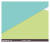 BIS Consulting (Back Flat View)