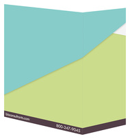 BIS Consulting (Back and Front Open View)