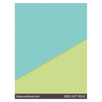 BIS Consulting (Back View)